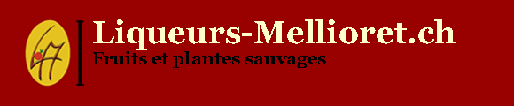 liqueurs-mellioret.ch